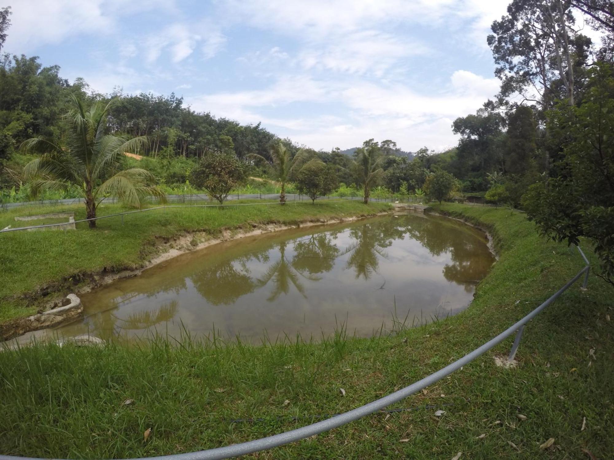 Santai De Lui Resorts Kampong Masjid  Luaran gambar